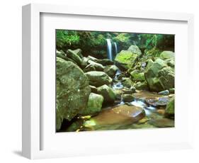 Grotto Falls, Great Smoky Mountains National Park, Tennessee, USA-Rob Tilley-Framed Photographic Print