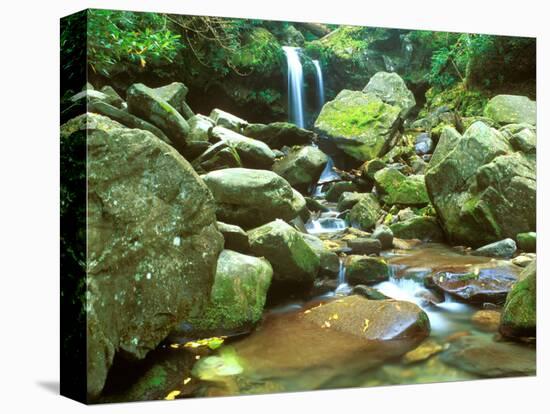 Grotto Falls, Great Smoky Mountains National Park, Tennessee, USA-Rob Tilley-Stretched Canvas