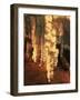 Grotto Frassari in Fabriano - Italy-Rainer Hackenberg-Framed Photographic Print