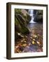 Grotto Galls, Smoky Mountain National Park, Tn-Brad Beck-Framed Photographic Print