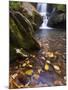 Grotto Galls, Smoky Mountain National Park, Tn-Brad Beck-Mounted Photographic Print