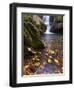 Grotto Galls, Smoky Mountain National Park, Tn-Brad Beck-Framed Photographic Print