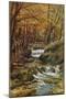 Groudle Glen, I of Man-Alfred Robert Quinton-Mounted Giclee Print