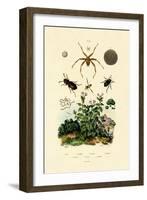 Ground Beetle, 1833-39-null-Framed Giclee Print