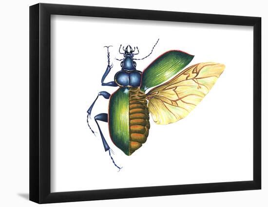 Ground Beetle (Carabidae), Insects-Encyclopaedia Britannica-Framed Poster