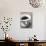 Ground Coffee in Filter-Sara Danielsson-Photographic Print displayed on a wall