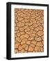 Ground, Earth, Rips, Drought, Dryness-Thonig-Framed Photographic Print