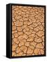 Ground, Earth, Rips, Drought, Dryness-Thonig-Framed Stretched Canvas
