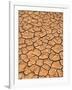 Ground, Earth, Rips, Drought, Dryness-Thonig-Framed Photographic Print