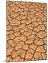 Ground, Earth, Rips, Drought, Dryness-Thonig-Mounted Photographic Print