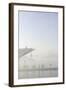 Ground Fog Above the Elbe, Bizarre, Unusual, Elbberg Campus, Altona-Axel Schmies-Framed Photographic Print