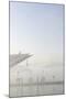 Ground Fog Above the Elbe, Bizarre, Unusual, Elbberg Campus, Altona-Axel Schmies-Mounted Photographic Print