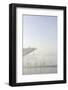 Ground Fog Above the Elbe, Bizarre, Unusual, Elbberg Campus, Altona-Axel Schmies-Framed Photographic Print