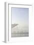 Ground Fog Above the Elbe, Bizarre, Unusual, Elbberg Campus, Altona-Axel Schmies-Framed Photographic Print