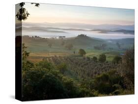 Ground fog at dawn in Val d'Orcia-Peter Adams-Stretched Canvas