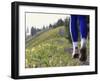 Ground Level View of Jogger on a Trail-null-Framed Photographic Print