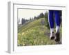 Ground Level View of Jogger on a Trail-null-Framed Photographic Print