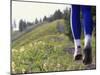 Ground Level View of Jogger on a Trail-null-Mounted Photographic Print