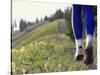 Ground Level View of Jogger on a Trail-null-Stretched Canvas