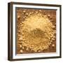 Ground Mustard-Steve Gadomski-Framed Photographic Print