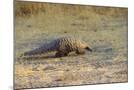 Wood Mount