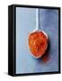 Ground Paprika on Spoon-Maja Smend-Framed Stretched Canvas