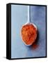 Ground Paprika on Spoon-Maja Smend-Framed Stretched Canvas