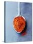 Ground Paprika on Spoon-Maja Smend-Stretched Canvas