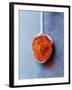 Ground Paprika on Spoon-Maja Smend-Framed Photographic Print