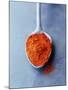 Ground Paprika on Spoon-Maja Smend-Mounted Photographic Print