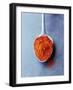 Ground Paprika on Spoon-Maja Smend-Framed Photographic Print