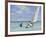 Ground Swell-Edward Hopper-Framed Photographic Print