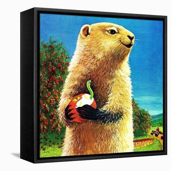 Groundhog and Apple - Jack & Jill-Dorothy Forsyth-Framed Stretched Canvas