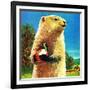 Groundhog and Apple - Jack & Jill-Dorothy Forsyth-Framed Giclee Print