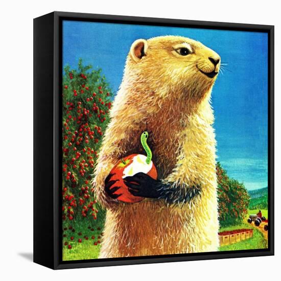 Groundhog and Apple - Jack & Jill-Dorothy Forsyth-Framed Stretched Canvas