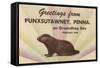 Groundhog, Greetings from Punxsutawney, Pennsylvania-null-Framed Stretched Canvas