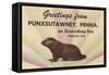 Groundhog, Greetings from Punxsutawney, Pennsylvania-null-Framed Stretched Canvas