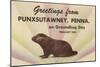 Groundhog, Greetings from Punxsutawney, Pennsylvania-null-Mounted Art Print