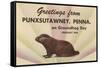 Groundhog, Greetings from Punxsutawney, Pennsylvania-null-Framed Stretched Canvas