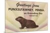 Groundhog, Greetings from Punxsutawney, Pennsylvania-null-Mounted Premium Giclee Print