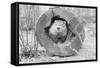 Groundhog in Hollow Log-null-Framed Stretched Canvas