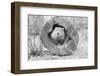 Groundhog in Hollow Log-null-Framed Photographic Print