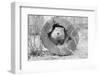 Groundhog in Hollow Log-null-Framed Photographic Print