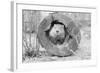 Groundhog in Hollow Log-null-Framed Photographic Print