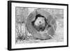 Groundhog in Hollow Log-null-Framed Photographic Print