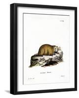 Groundhog-null-Framed Giclee Print