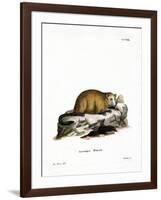 Groundhog-null-Framed Giclee Print