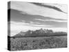 Groundlevel Views of Great and Vast Andes Mountain Range-null-Stretched Canvas