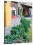 Grounds and Buildings of Historic La Valenciana Mine, Guanajuato State, Mexico-Julie Eggers-Stretched Canvas