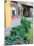 Grounds and Buildings of Historic La Valenciana Mine, Guanajuato State, Mexico-Julie Eggers-Mounted Photographic Print